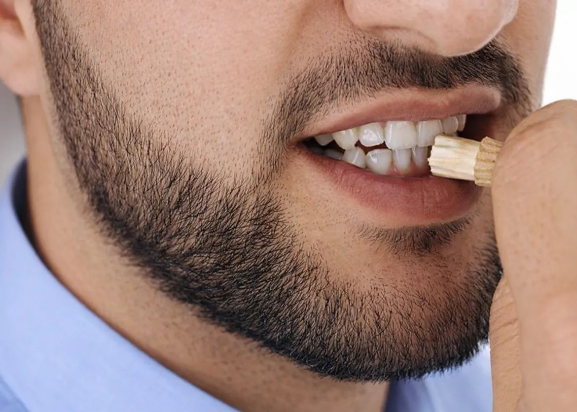 Miswak Stick - Siwak Natuurlijke Tandenborstel