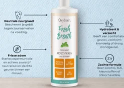 OxyFresh Fresh Mint Mondwater