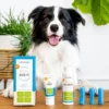 OxyFresh Pet Dental Kit (Dieren)