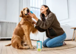 OxyFresh Pet Dental Kit (Dieren)