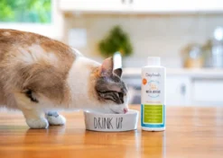 OxyFresh Pet Dental Kit (Dieren)