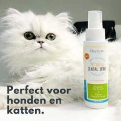 OxyFresh Pet Dental Mondspray (8 oz)