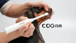 Pet Distrikt® Elektrische Tandenborstel Hond