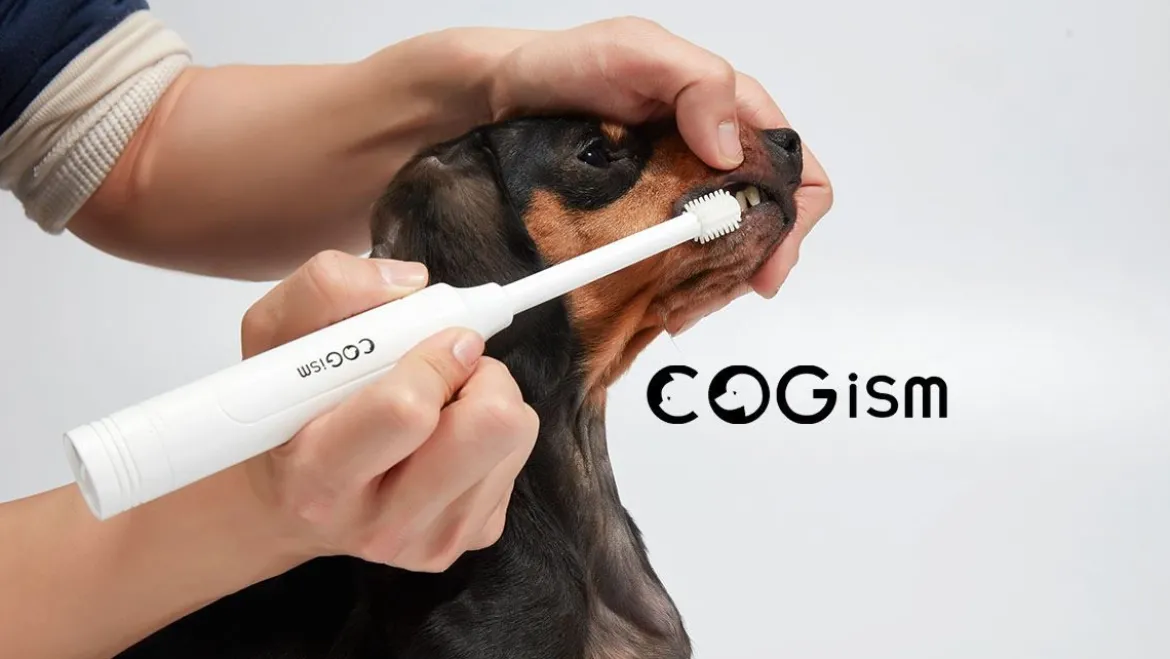 Pet Distrikt® Elektrische Tandenborstel Hond