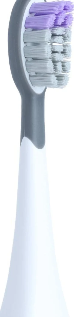 Solid Brush Boost Opzetborstel